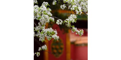 【展會(huì)資訊】臺(tái)群精機(jī)5月展會(huì)一覽，等您來參觀！