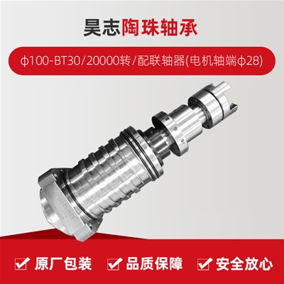 昊志/陶珠軸承/φ100-BT30/20000轉(zhuǎn)/配聯(lián)軸器(電機軸端φ28)